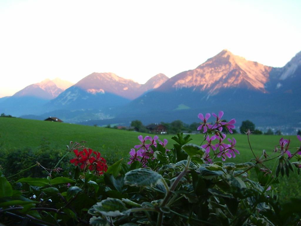 Pension Resi Reith im Alpbachtal Dış mekan fotoğraf